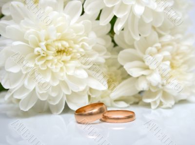 wedding rings