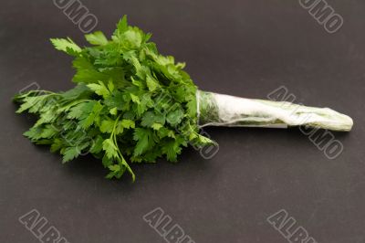 Fresh green parsley