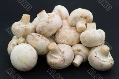 Mushrooms