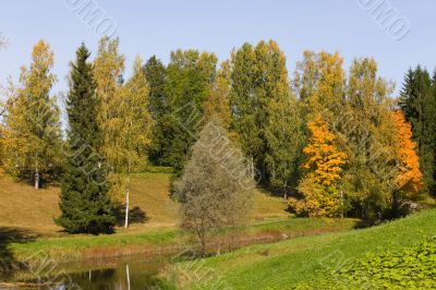 Autumn landscape