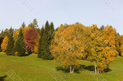 Autumn landscape