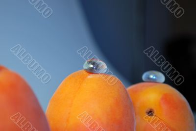 Apricot and glass