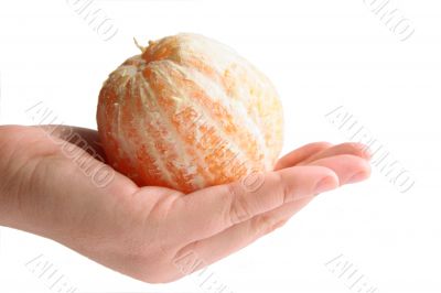 Hand with orange