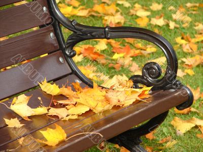 Park bench in autumn close up