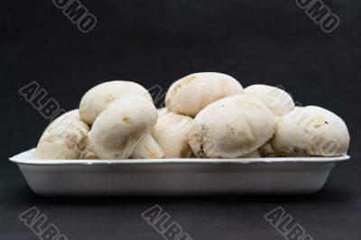 Mushrooms