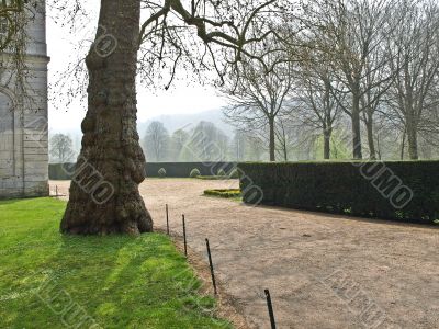 Silent avenue in ancient French abbey
