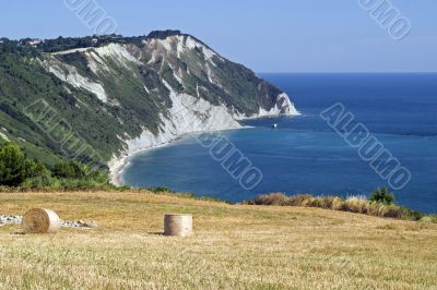 Conero (Ancona) - The coast