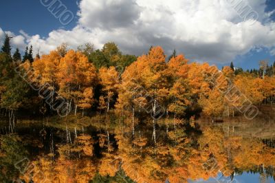 Fall Reflections