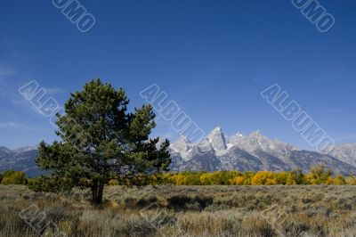 Grand Teton National Park