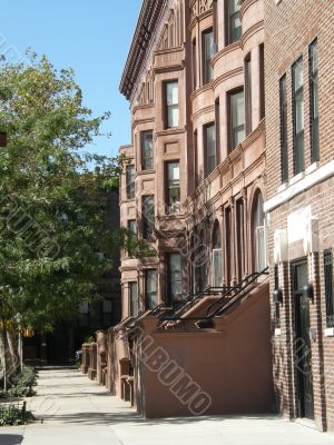 Harlem Houses