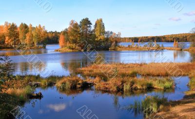 Golden autumn