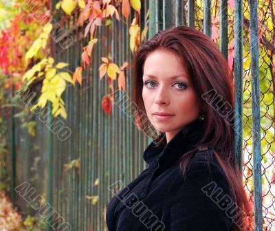 Autumn