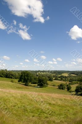 Rrural scene