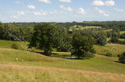 Rrural scene