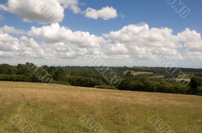 Farmland