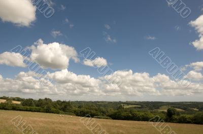 Farmland