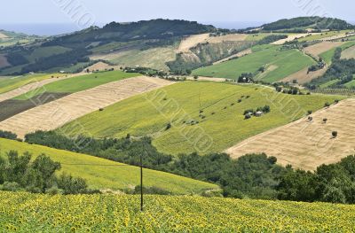 Marche - Panoramic view