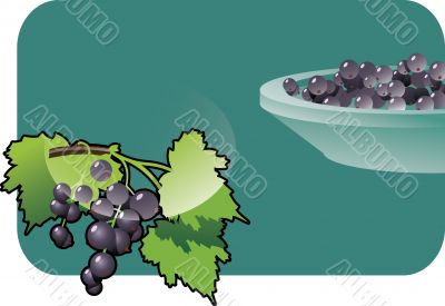 black-currant