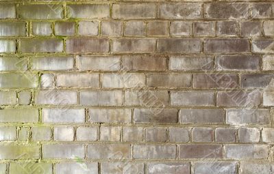 Brick old wall