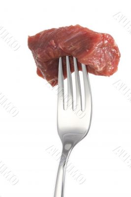 piece of meat