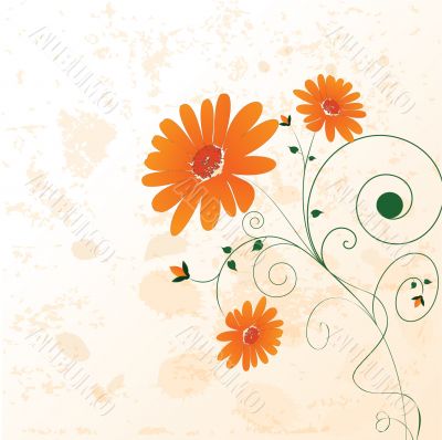 Decorative flowers