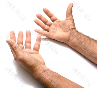 male hands