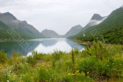 fjord