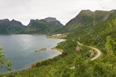 summer norwegian landscape