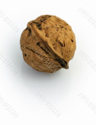 Nut on a white background