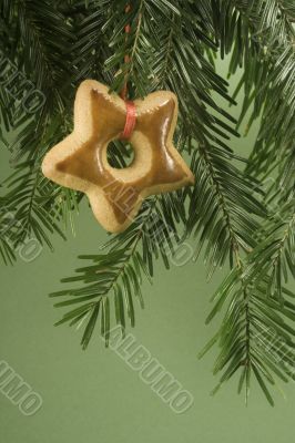 Cookie hanging under tree