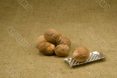 Nutmeg