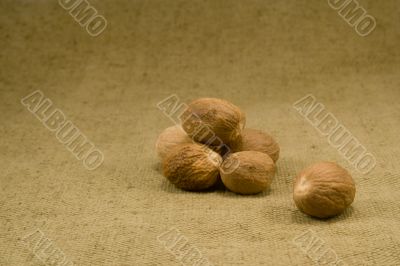 Nutmeg