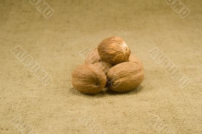 Nutmeg