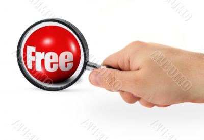 searching for bargain