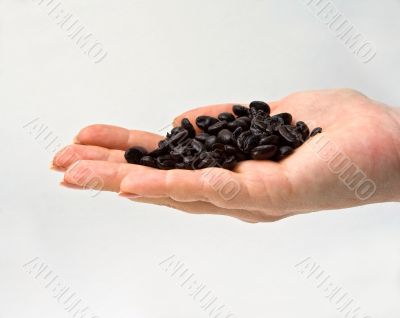 Hand with coffee beans