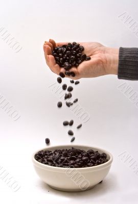 Gourmet coffee beans