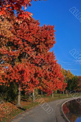 Fall scenery