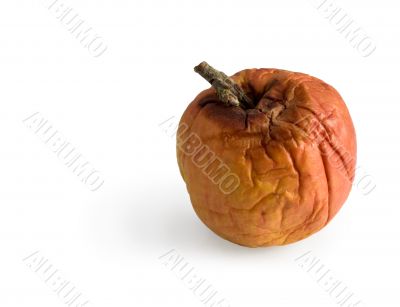 Rotten apple