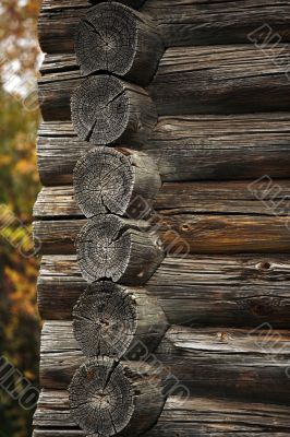 Wall from logs