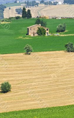 Marche (Italy) - Countryside