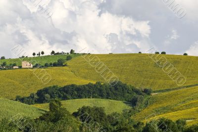Landscape near Fermo