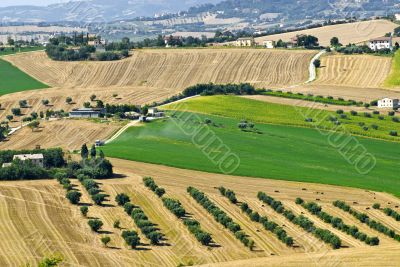 Marche - Landscape
