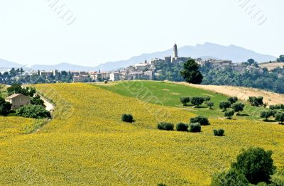 Marche - Landscape