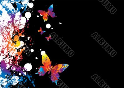 butterfly border