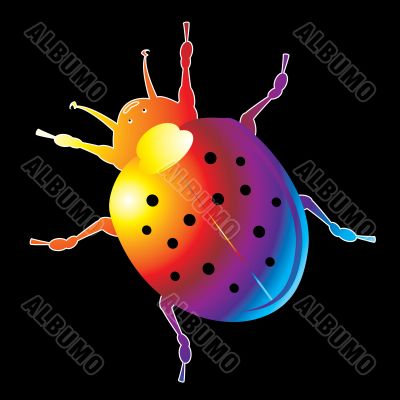 bright lady bug