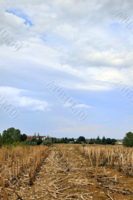 Italian landscape