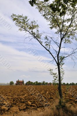Italian landscape