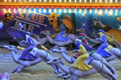 camel race