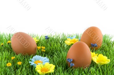 easter eggs