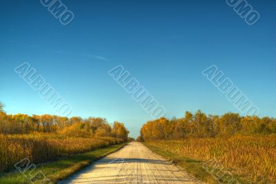 Rural Road